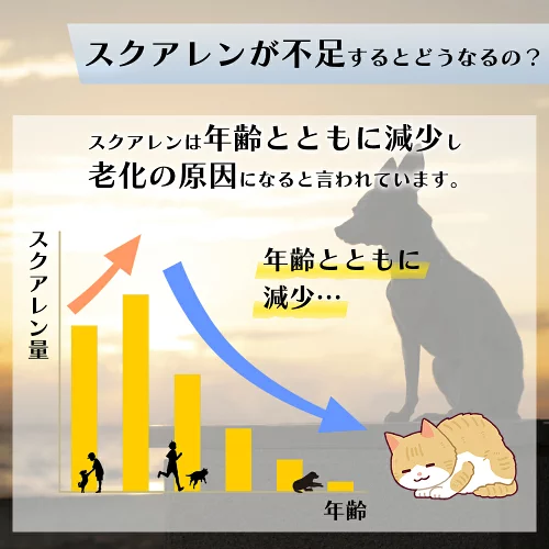 ペット用サプリメント【新発売】15%お得☆ サメダッシュ!&サメキラリセット - 画像 (3)